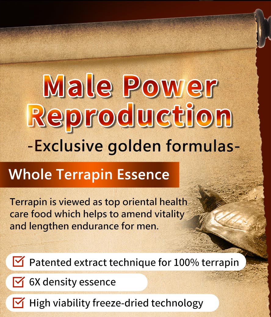 6 times the whole Terrapin essence to help men