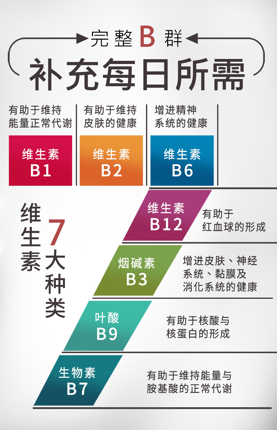 UNIQMAN B群含維他命B1,B2,B6,B12,菸鹼酸,補充整日維他命所需,幫助人體維護神經系統達到情緒平衡