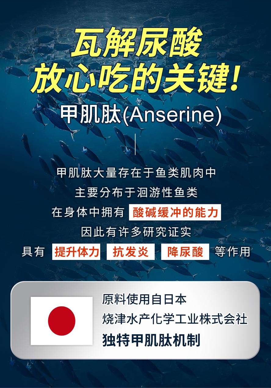 使用日本甲肌肽，研究证实净酸代谢，对抗发炎