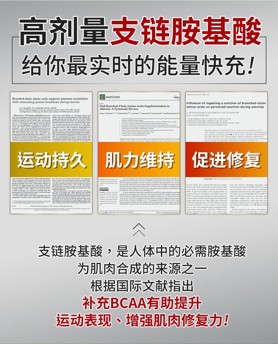 支链胺基酸是肌肉合成的来源之一，加速肌肉修复、增肌必备