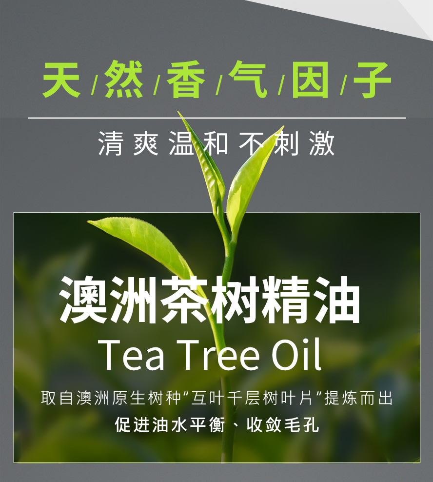 茶树精油有助收敛毛孔、促进油水平衡。