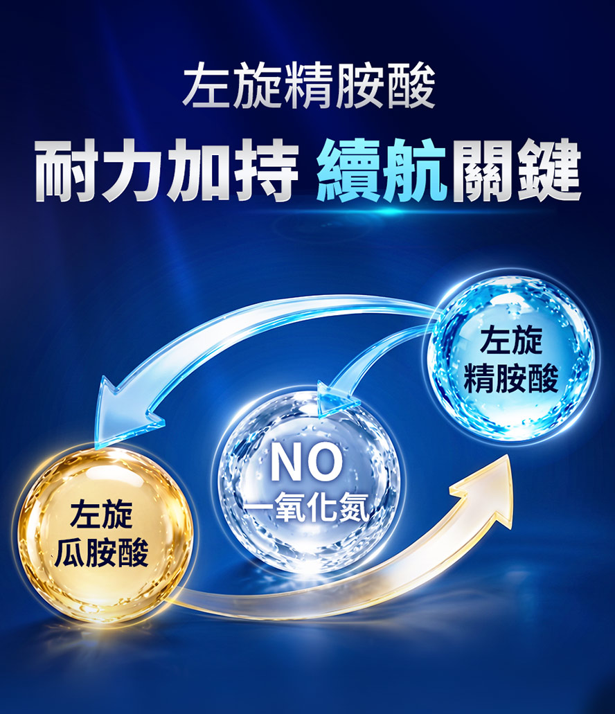左旋精胺酸 L-Arginine 促進一氧化氮 NO 的生成，精胺酸、瓜胺酸及一氧化氮的轉換有效舒張血管