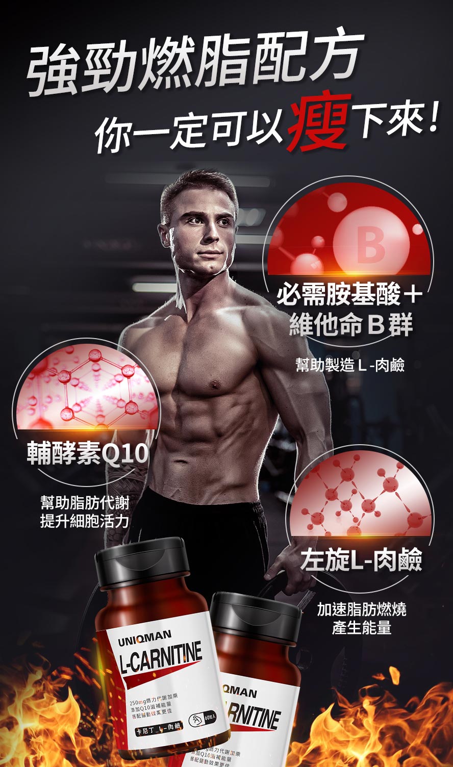 使用卡尼丁肉鹼搭配適度的運動，能夠減少脂肪量，練成精壯身材，也能突破減重的停滯期