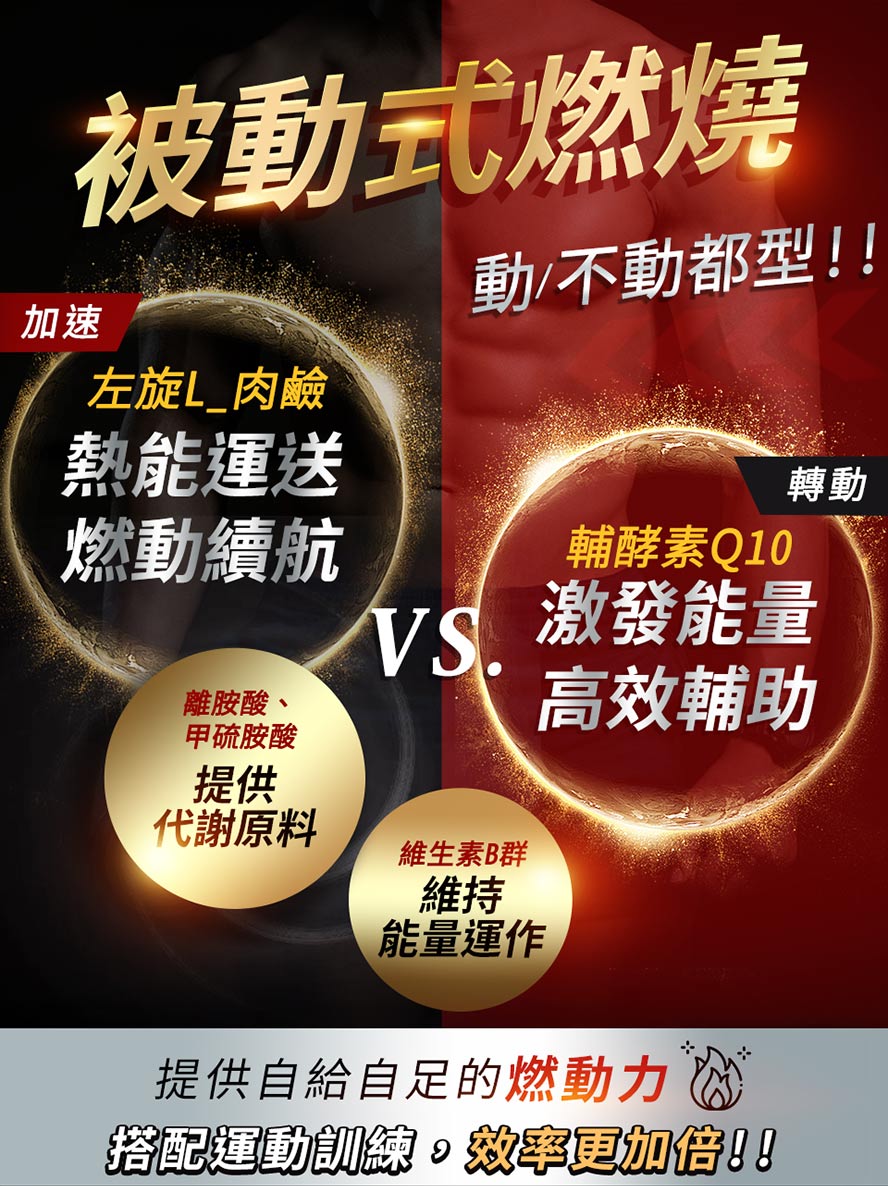 添加Q10加速燃燒輔助,減肥效果加倍