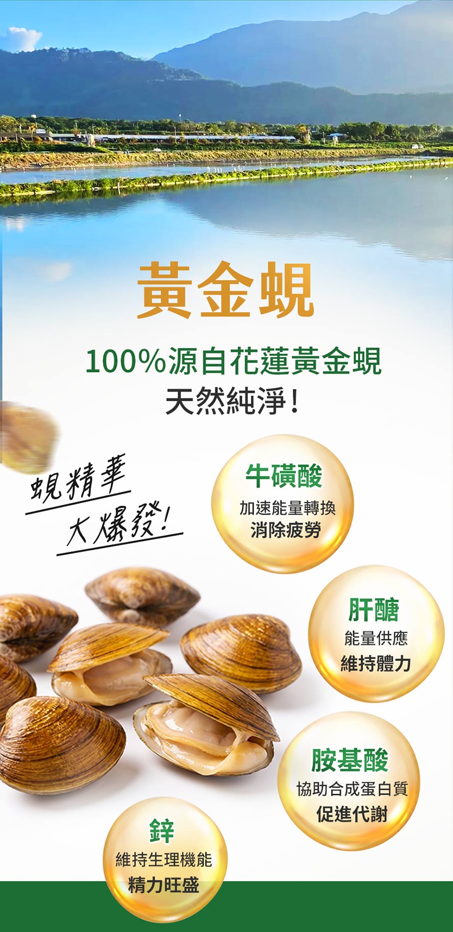 常應酬、沒元氣、肝火旺、疲勞乏力,補充60%肝醣,助你維護肝臟健康
