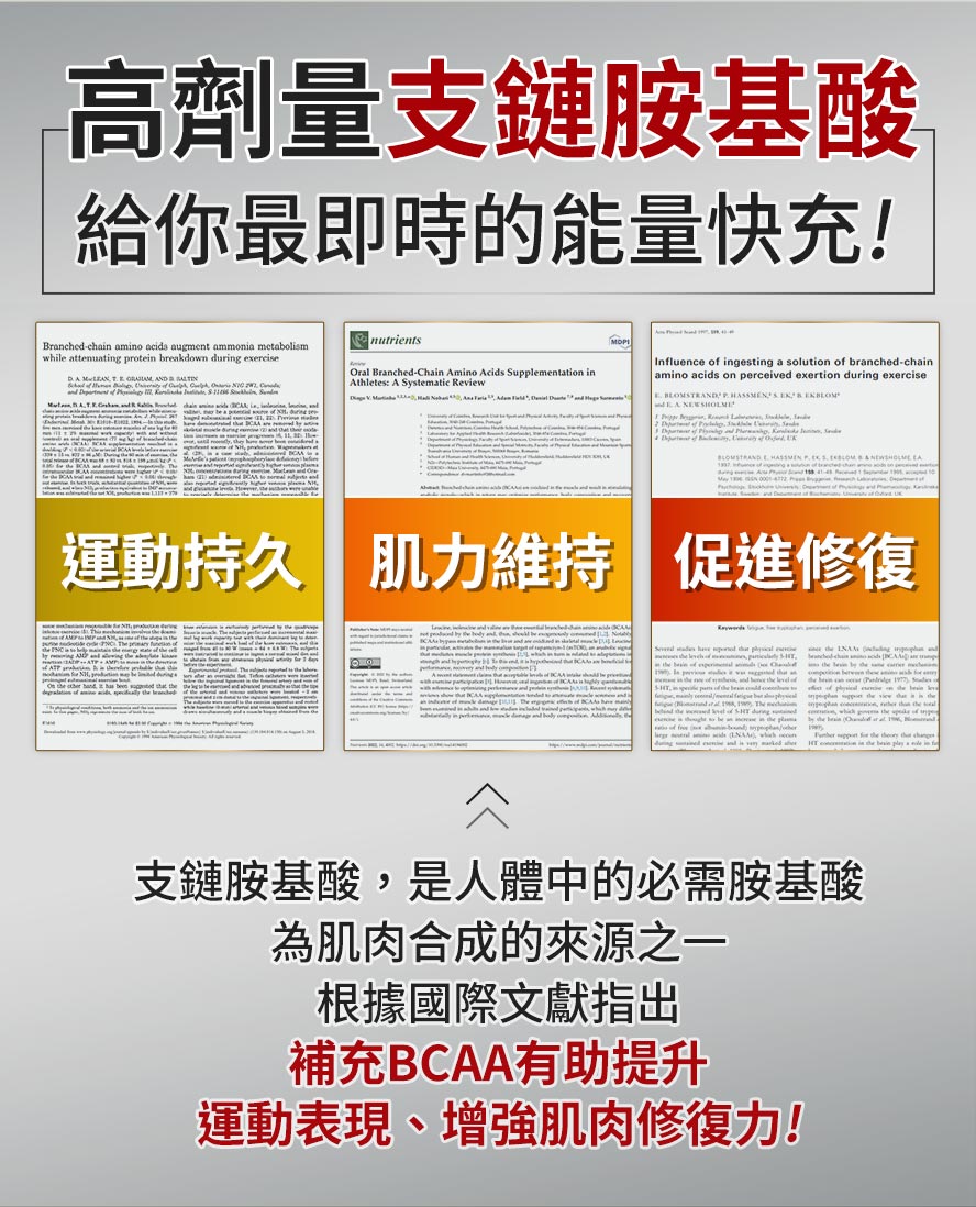 支鏈胺基酸是肌肉合成的來源之一，加速肌肉修復、增肌必備