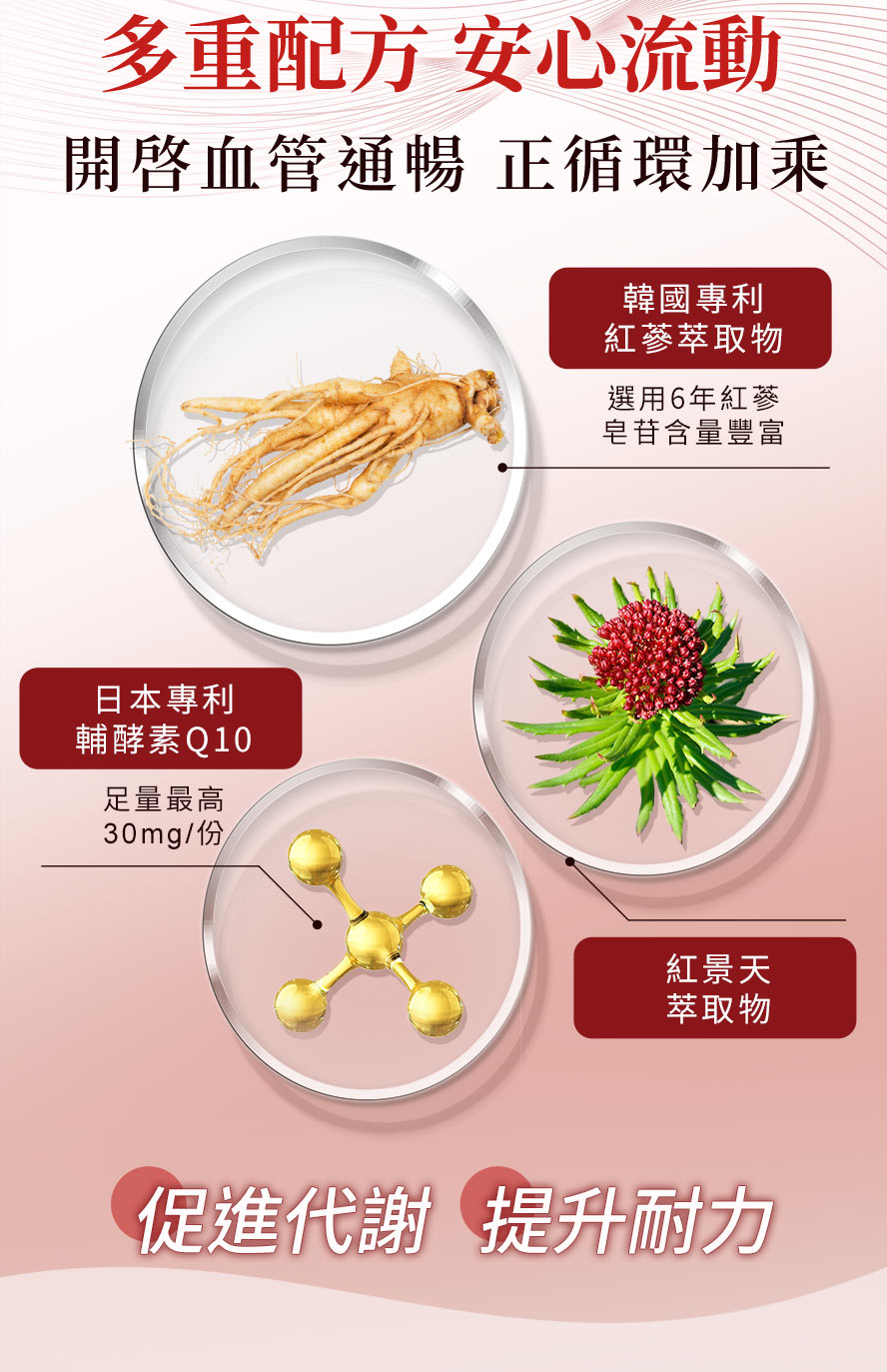 多效合一，預防健檢紅字，降三高