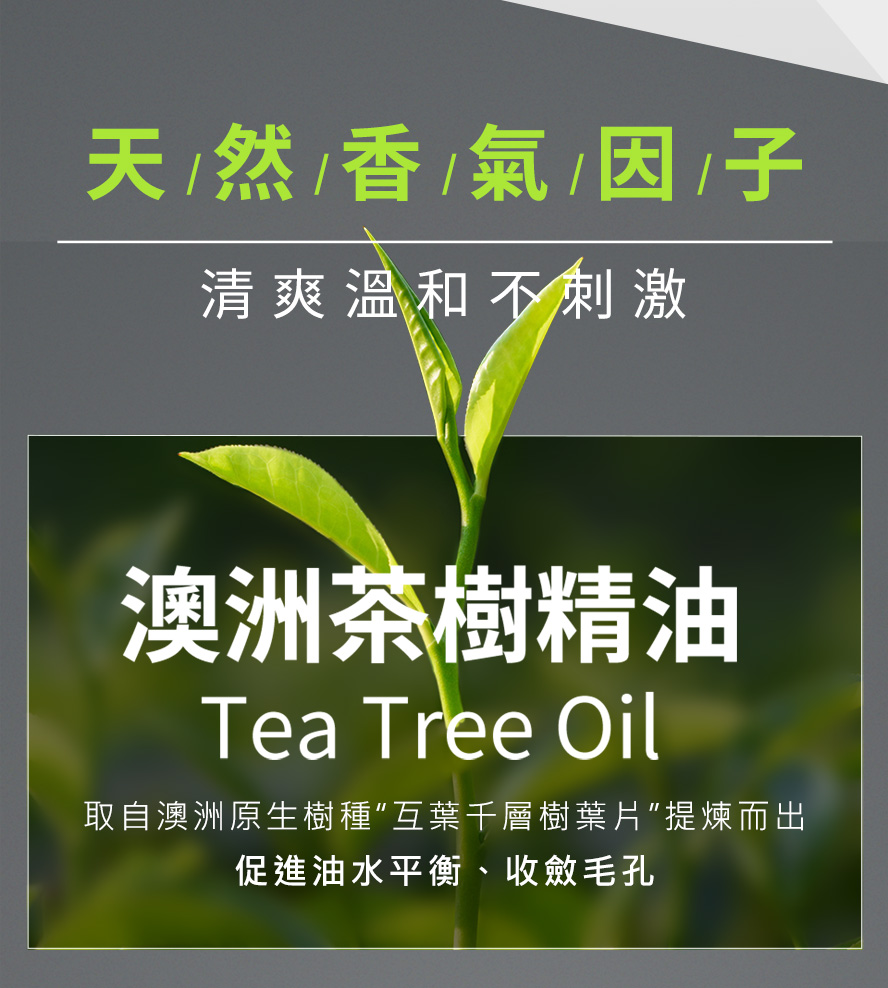 茶樹精油有助收斂毛孔、促進油水平衡。