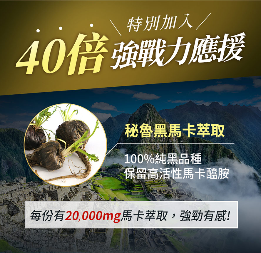 添加40倍黑馬卡，維持男性強勁