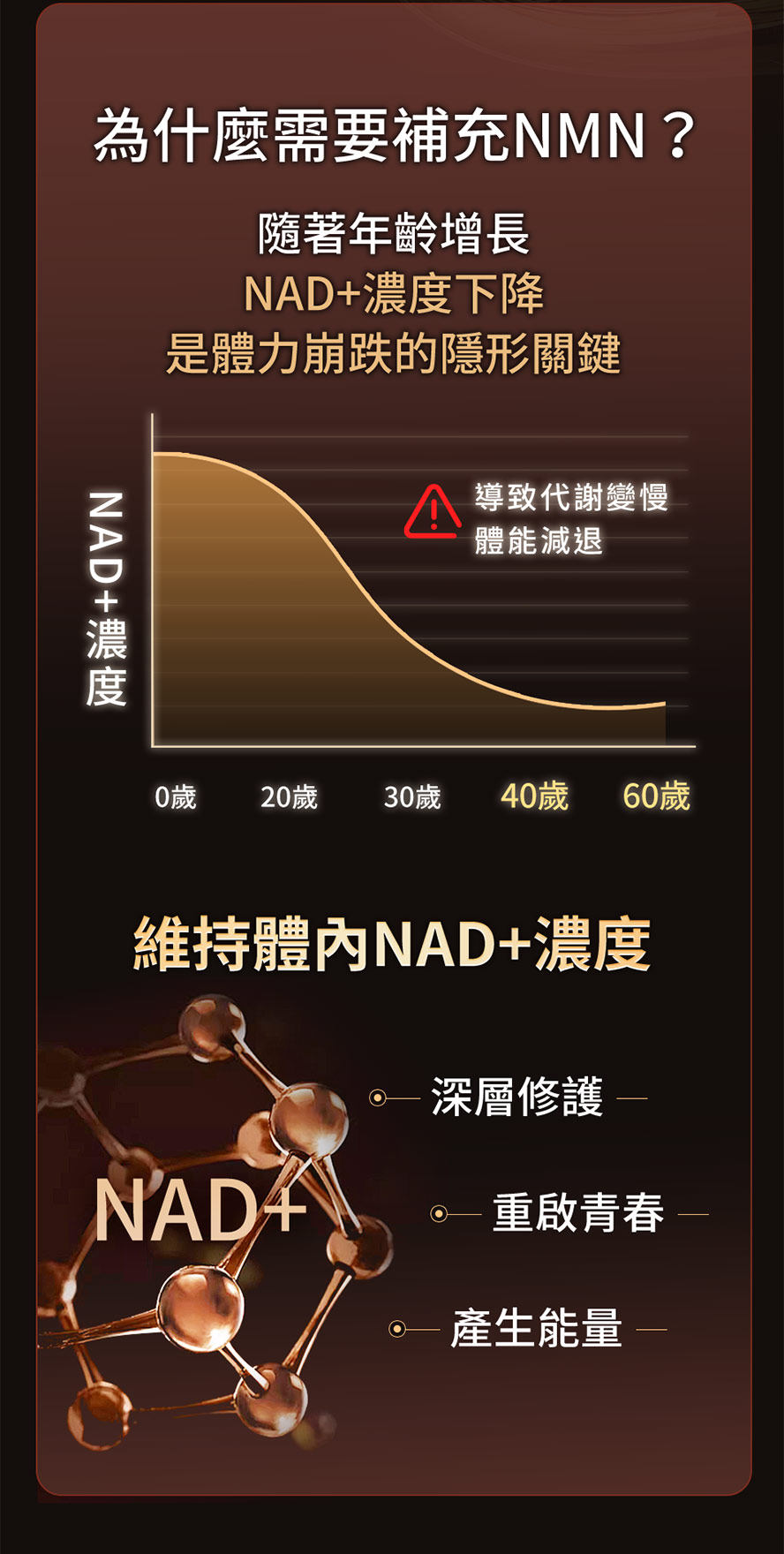 隨著年齡增長,體內NAD+濃度逐漸下降,可能影響精神、體力與修護力,是熟齡男性狀態下滑的隱形關鍵