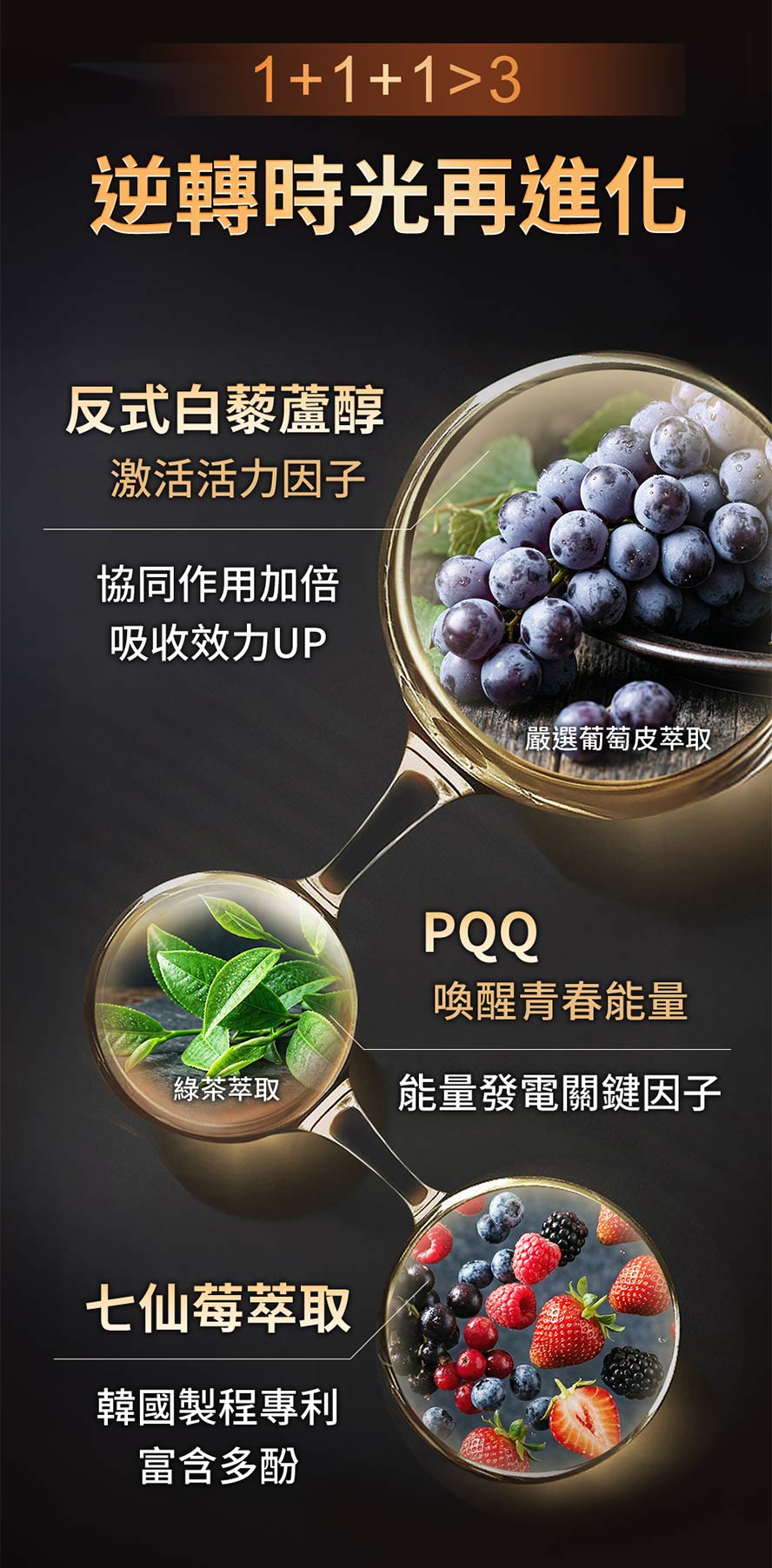 逆轉時光再進化!完美搭配反式白藜蘆醇、PQQ、七仙莓,1加1加1大於3!協同作用讓吸收力倍增