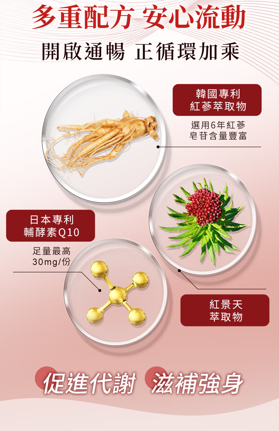 多種配方促進代謝，健康一路通暢