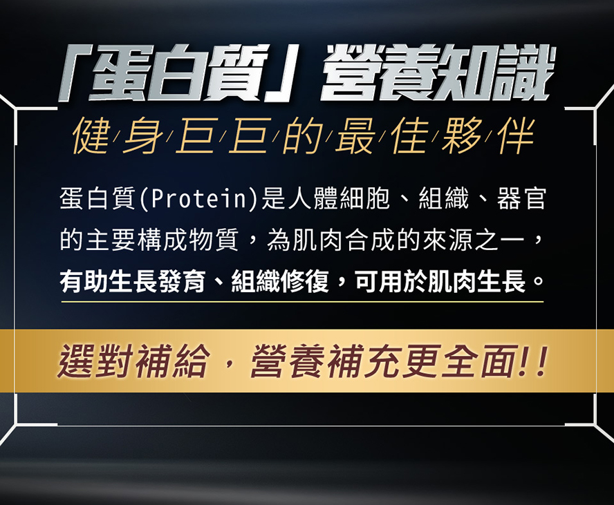 蛋白質是肌肉合成的原料之一,可用於肌肉生長